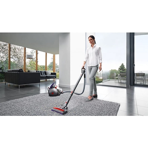 Dyson Big Ball Animal 2 Cylinder Vacuum Cleaner in Grey