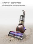 Dyson Ball Animal Origin Upright Vacuum Cleaner