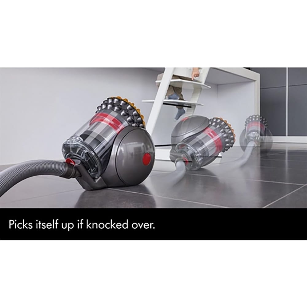 Dyson Big Ball Animal 2 Cylinder Vacuum Cleaner in Grey