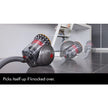 Dyson Big Ball Animal 2 Cylinder Vacuum Cleaner in Grey