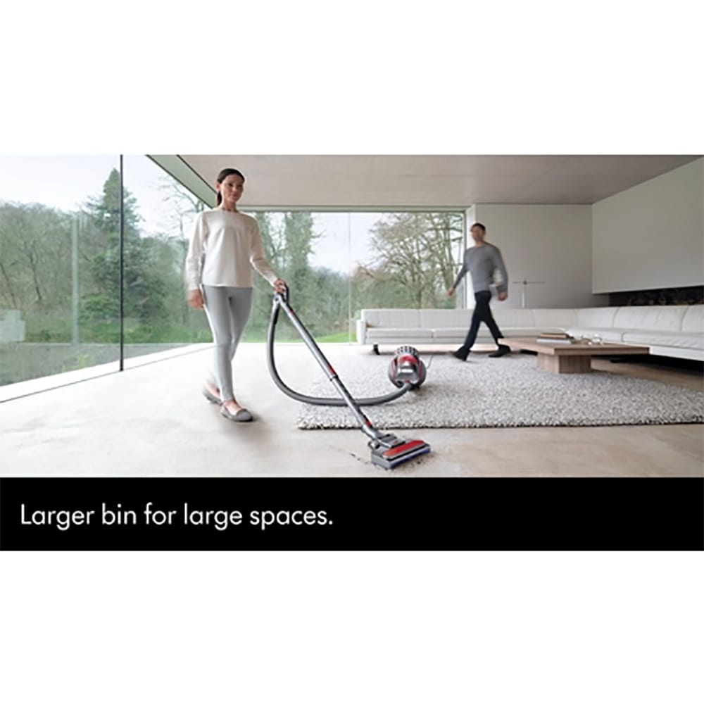Dyson Big Ball Animal 2 Cylinder Vacuum Cleaner in Grey