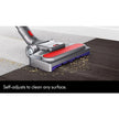 Dyson Big Ball Animal 2 Cylinder Vacuum Cleaner in Grey