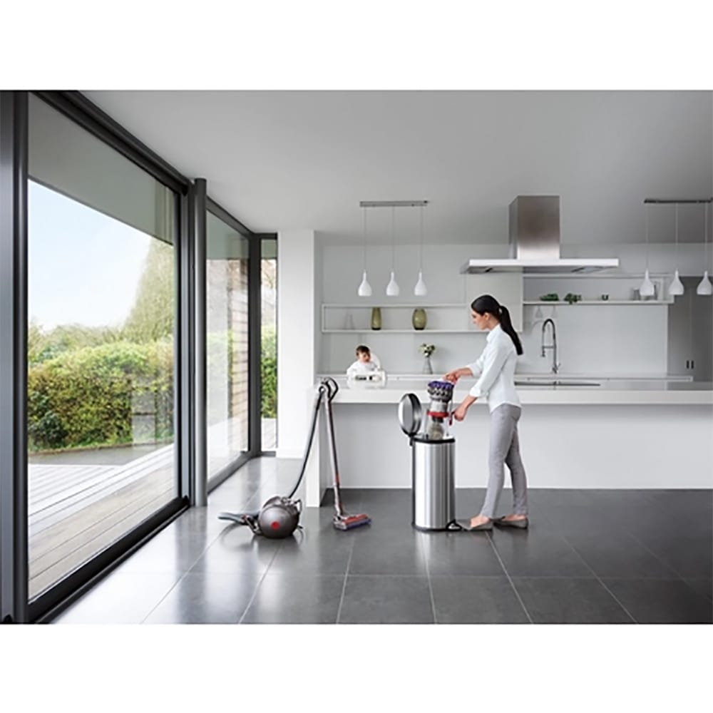 Dyson Big Ball Animal 2 Cylinder Vacuum Cleaner in Grey