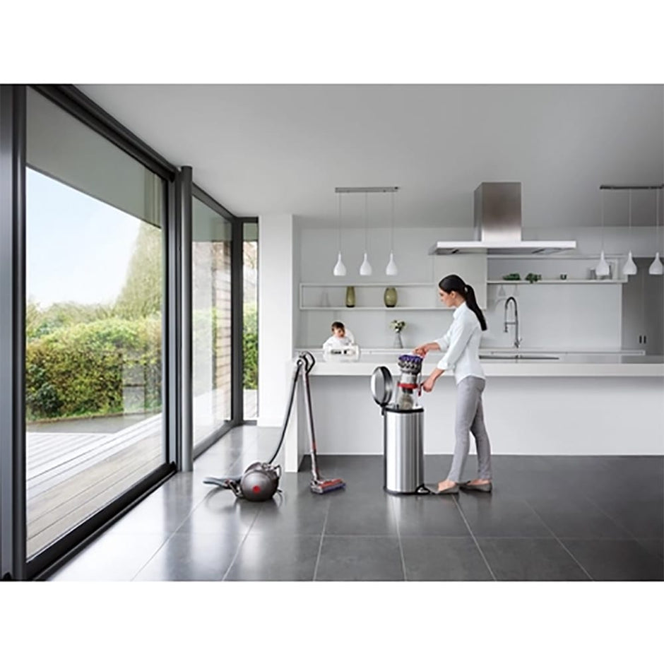 Dyson Big Ball Animal 2 Cylinder Vacuum Cleaner in Grey